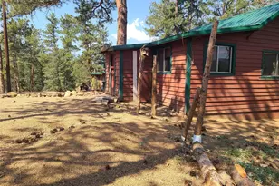 23721 Summit St, Pine, CO 80470 - Photo 22