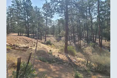 23721 Summit Street, Pine, CO 80470 - Photo 26