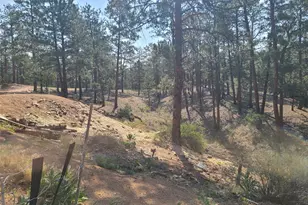 23721 Summit St, Pine, CO 80470 - Photo 26