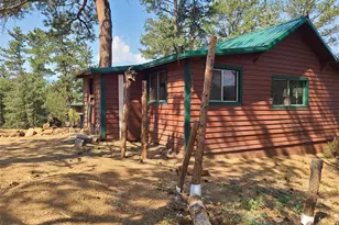 23721 Summit St, Pine, CO 80470 - Photo 2