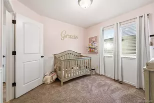 720 Takin Dr, Severance, CO 80550 - Photo 26