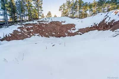 2199 Badger Drive, Larkspur, CO 80118 - Photo 18