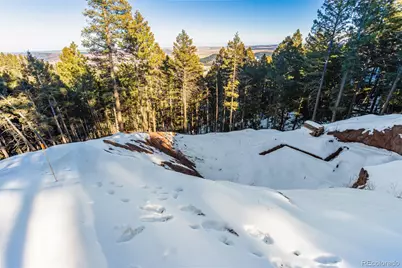 2199 Badger Drive, Larkspur, CO 80118 - Photo 8