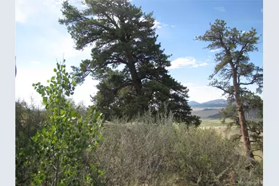 1808 Narrow Gauge Road, Hartsel, CO 80449 - Photo 14