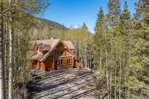 24500 Co Rd 162, Nathrop, CO 81236 - Photo 2