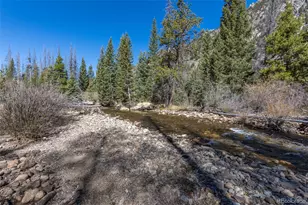 24500 Co Rd 162, Nathrop, CO 81236 - Photo 14