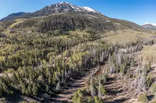 24500 Co Rd 162, Nathrop, CO 81236 - Photo 8