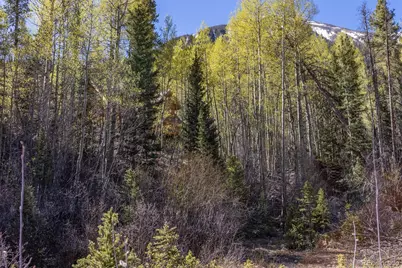 24500 County Road 162, Nathrop, CO 81236 - Photo 18