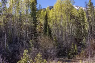 24500 Co Rd 162, Nathrop, CO 81236 - Photo 18