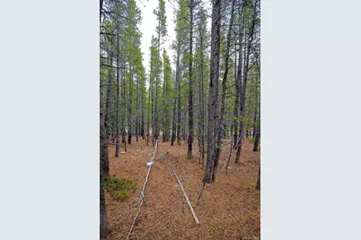 123 Silver Creek Road, Idaho Springs, CO 80452 - Photo 38