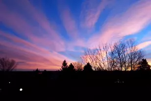 6839 S Webster St, Littleton, CO 80128 - Photo 40