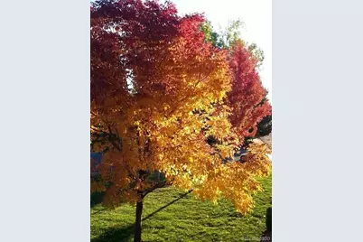 6839 S Webster Street #C, Littleton, CO 80128 - Photo 36