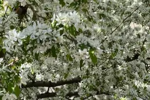 6839 S Webster St, Littleton, CO 80128 - Photo 34