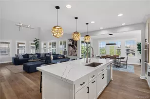 255 Maplehurst Point, Highlands Ranch, CO 80126 - Photo 10