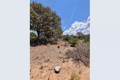 1134 Jorgulesco Road, Fort Garland, CO 81133 - Photo 12