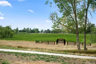 12123 Columbine St, Thornton, CO 80241 - Photo 26