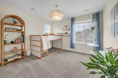 863 Carbonate Lane, Erie, CO 80516 - Photo 20