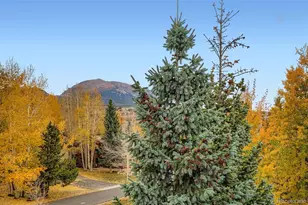 717 Meadow Dr, Frisco, CO 80443 - Photo 22