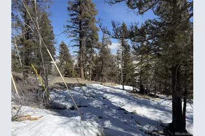 806 Middle Fork Vista, Fairplay, CO 80440 - Photo 2