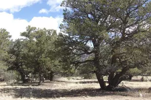 1640 Willow Creek Way, Crestone, CO 81131 - Photo 38