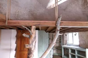 1640 Willow Creek Way, Crestone, CO 81131 - Photo 30