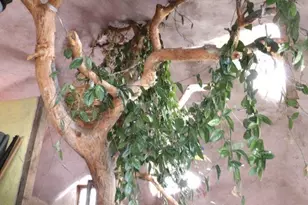 1640 Willow Creek Way, Crestone, CO 81131 - Photo 6