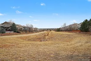 16787 E Black Horn Dr, Parker, CO 80134 - Photo 30