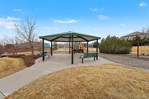 16787 E Black Horn Dr, Parker, CO 80134 - Photo 30