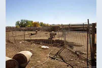 162 Farmmuseum Lane, Loveland, CO 80537 - Photo 28
