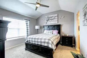 563 Lost Valley Point, Castle Rock, CO 80108 - Photo 22