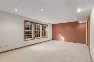 8822 Fiesta Terrace, Lone Tree, CO 80124 - Photo 22