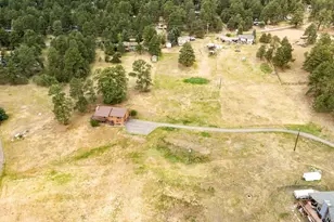 7013 Silverhorn Dr, Evergreen, CO 80439 - Photo 44
