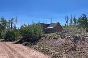 906 Huntington Ln, Fort Garland, CO 81133 - Photo 40