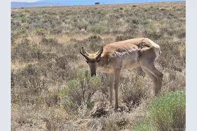 Lot 20 Gallup Trail, San Luis, CO 81152 - Photo 4