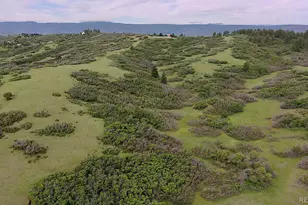 770 Hier Ln, Castle Rock, CO 80109 - Photo 10