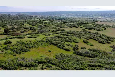 770 Hier Lane, Castle Rock, CO 80109 - Photo 8