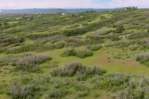 770 Hier Ln, Castle Rock, CO 80109 - Photo 4