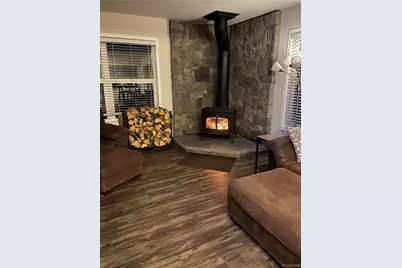 154 Brooklyn Circle, Leadville, CO 80461 - Photo 10
