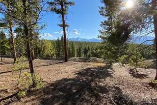 154 Brooklyn Cir, Leadville, CO 80461 - Photo 48