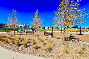 18185 Prince Hl Cir, Parker, CO 80134 - Photo 36