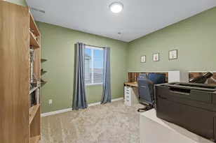 8037 Sterling Ranch Ave, Littleton, CO 80125 - Photo 28