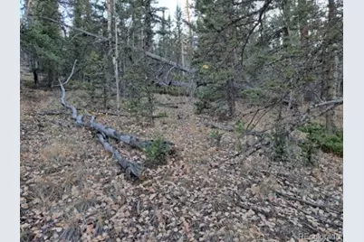 805 Longbow Drive, Como, CO 80432 - Photo 36