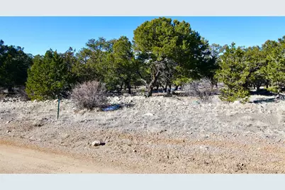 2058 Condor Overlook, Crestone, CO 81131 - Photo 8