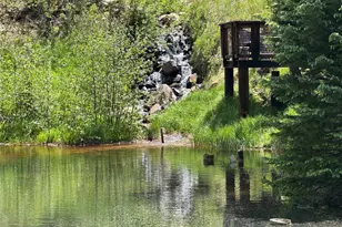 1430 Lower Travis Gulch Rd, Black Hawk, CO 80422 - Photo 2