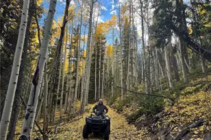 1430 Lower Travis Gulch Rd, Black Hawk, CO 80422 - Photo 38