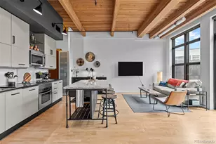 2955 Inca St, Denver, CO 80202 - Photo 6