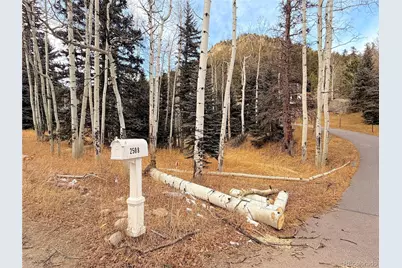 2508 Witter Gulch Road, Evergreen, CO 80439 - Photo 2