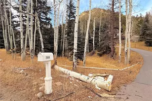 2508 Witter Gulch Rd, Evergreen, CO 80439 - Photo 2