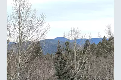 2508 Witter Gulch Road, Evergreen, CO 80439 - Photo 20