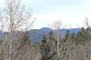 2508 Witter Gulch Rd, Evergreen, CO 80439 - Photo 20